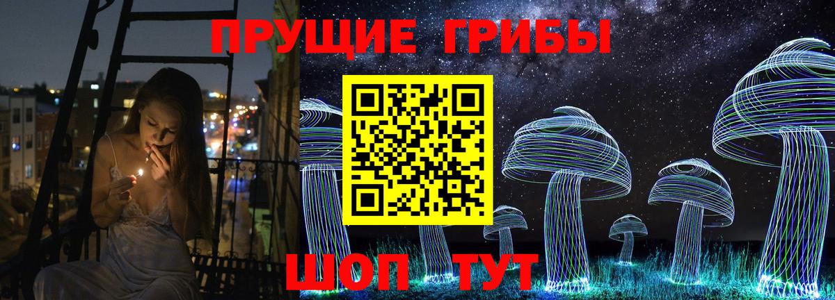 Галлюциногенные грибы GOLDEN TEACHER  купить   Миллерово  Вход с VPN 