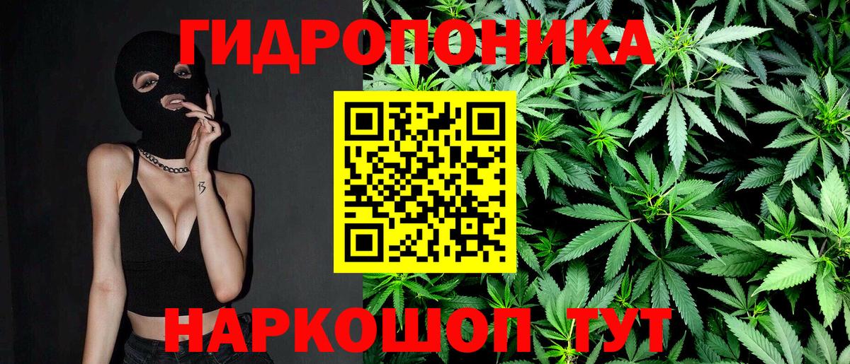 Каннабис индика  Марихуана MAZAR  Миллерово  Марихуана Amnesia  Вход с VPN 